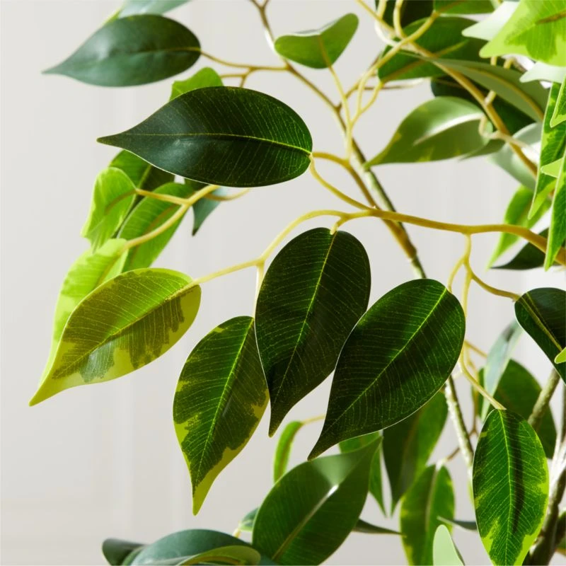 Banyan Leaf Tree 6' 5 Banyan Leaf Tree 6' - Image 3