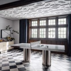 Acrylic Table Tennis Paddles Set Of 2 -Furniture Sale CB2HOL22 07A hero 1