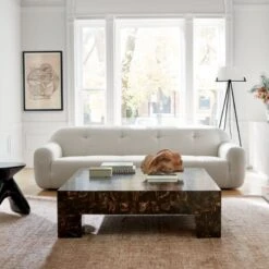 Scatola Brown Faux Horn Coffee Table -Furniture Sale CB2SP22 18A v2 RET 1