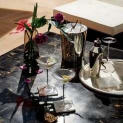 Swing Coupe Martini/Cocktail Glass -Furniture Sale CB2SP22 20B v2 RET