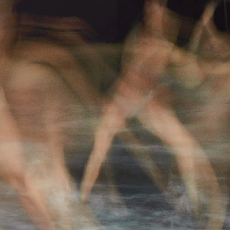 'Corpi All'Infinito Untitled III' Framed Photographic Print By Fabian Albertini 62''x42'' 5 'Corpi All'Infinito Untitled III' Framed Photographic Print By Fabian Albertini 62''x42'' - Image 3