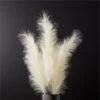 Faux Pampas Grass Ivory Stem 39" Set Of 3 1 Faux Pampas Grass Ivory Stem 39" Set Of 3 -Furniture Sale FauxPampasGrassIvoryStemS3SHF20