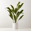 Faux Potted Iron Leaf Plant 35" 2 Faux Potted Iron Leaf Plant 35" -Furniture Sale FauxPottedIronLeaf37inSHS23