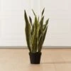 Faux Potted Snake Plant 3' -Furniture Sale FauxSnakePlantSHF20