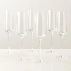 Muse Champagne Flute Set Of 6