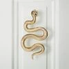 Polished Brass Snake Door Knocker 1 Polished Brass Snake Door Knocker -Furniture Sale SnakeBrassDoorKnockerSHS23