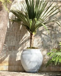 Belly White Stone Outdoor Planter XXL -Furniture Sale WhiteBellyXXLPlanterJU20