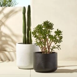 Zen White Clay Indoor/Outdoor Planter -Furniture Sale ZenPlanterGroupFHS17