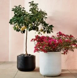 Zen White Clay Indoor/Outdoor Planter -Furniture Sale zenplantersAP18